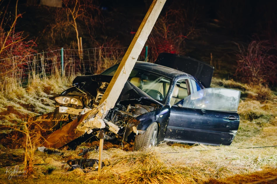 Wtargnięcie dzikiego zwierzęcia przyczyną zdarzenia (ZDJĘCIA I WIDEO) - zdjęcie 11