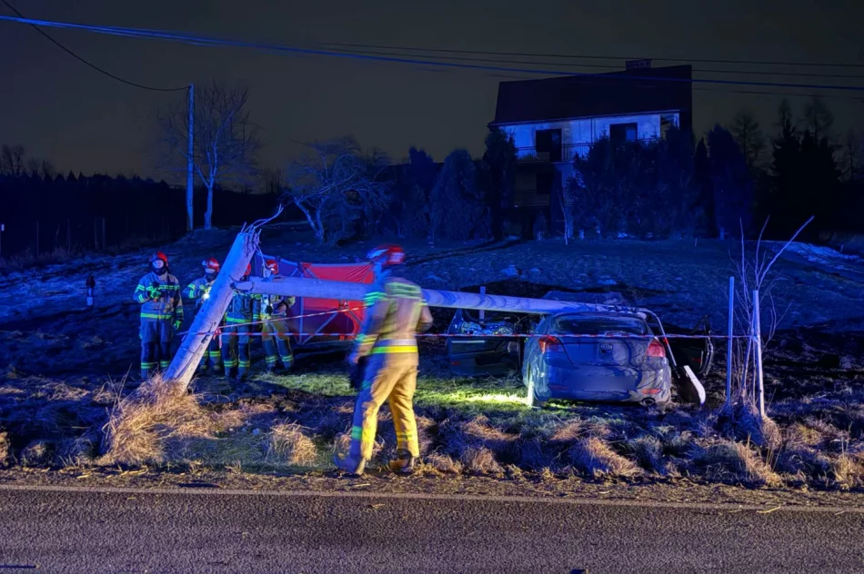 Tragedia podczas wyprzedzania na DK 28 - kierowca samochodu zmarł na miejscu - zdjęcie 4