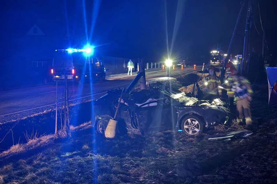 Tragedia podczas wyprzedzania na DK 28 - kierowca samochodu zmarł na miejscu - zdjęcie 6
