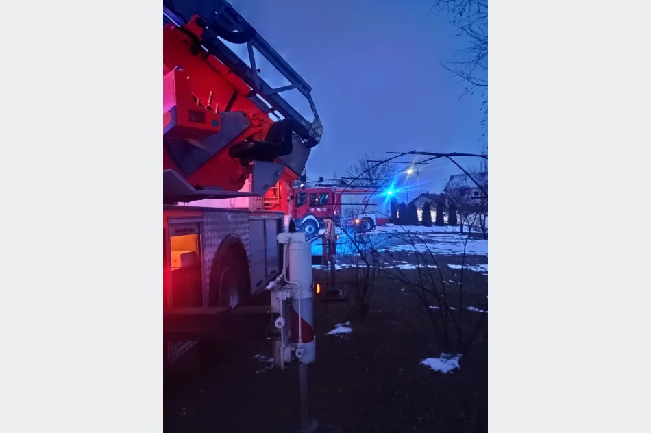 Pożar sadzy - interwencja strażaków - zdjęcie 3