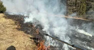 Zaczynają się pożary traw. Interweniowali strażacy - zdjęcie 5