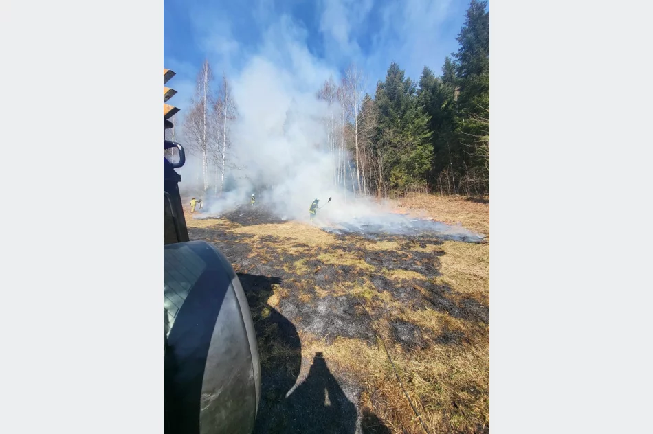 Zaczynają się pożary traw. Interweniowali strażacy - zdjęcie 6