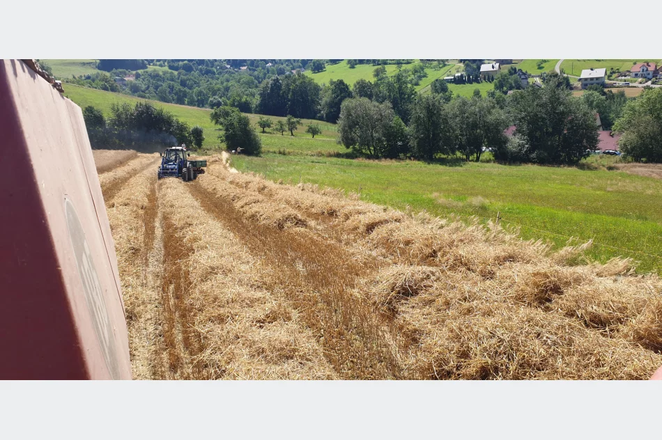 Sloma bale transport. - zdjęcie 2