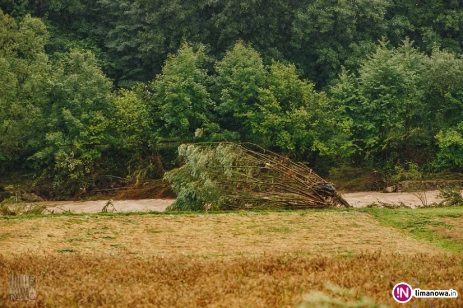 Opady deszczu i podtopienia - 19 lipca 2018 r. (IV) - zdjęcie 3