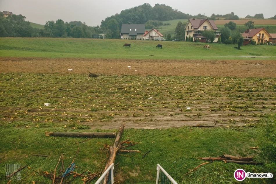 Opady deszczu i podtopienia - 19 lipca 2018 r. (IV) - zdjęcie 4