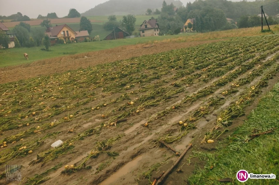 Opady deszczu i podtopienia - 19 lipca 2018 r. (IV) - zdjęcie 5