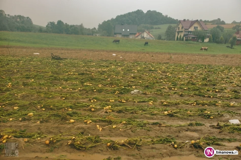 Opady deszczu i podtopienia - 19 lipca 2018 r. (IV) - zdjęcie 6