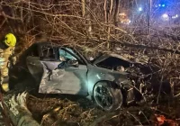 ​Audi uderzyło w BMW i wypadło z drogi - zdjęcie główne