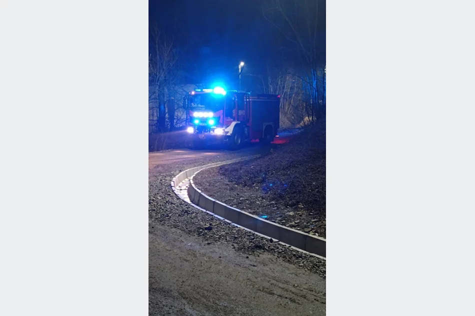 “Ognisko pozostawione bez nadzoru” - wraca trujący proceder? - zdjęcie 2
