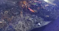 “Ognisko pozostawione bez nadzoru” - wraca trujący proceder? - zdjęcie 4