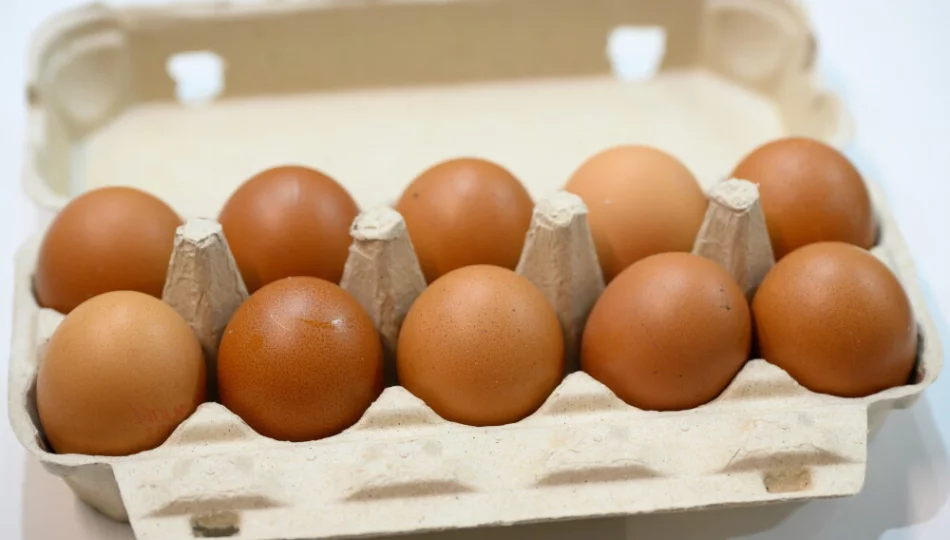 Brakuje jaj z chowu bezklatkowego - zdjęcie 1