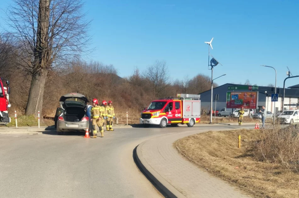 ​Dwie osoby trafiły do szpitala - zdjęcie 3