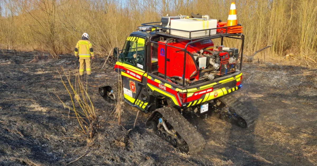 Ekspertka: wypalanie traw przynosi więcej szkód niż pożytku