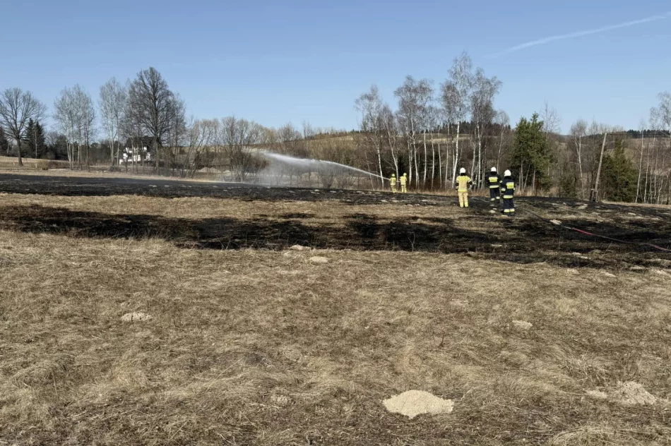 To poważne zagrożenie, grożą surowe kary - zdjęcie 2