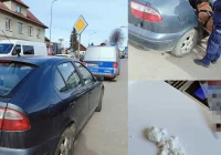 ​31-latek zatrzymany za złamanie zakazu i posiadanie narkotyków - zdjęcie główne