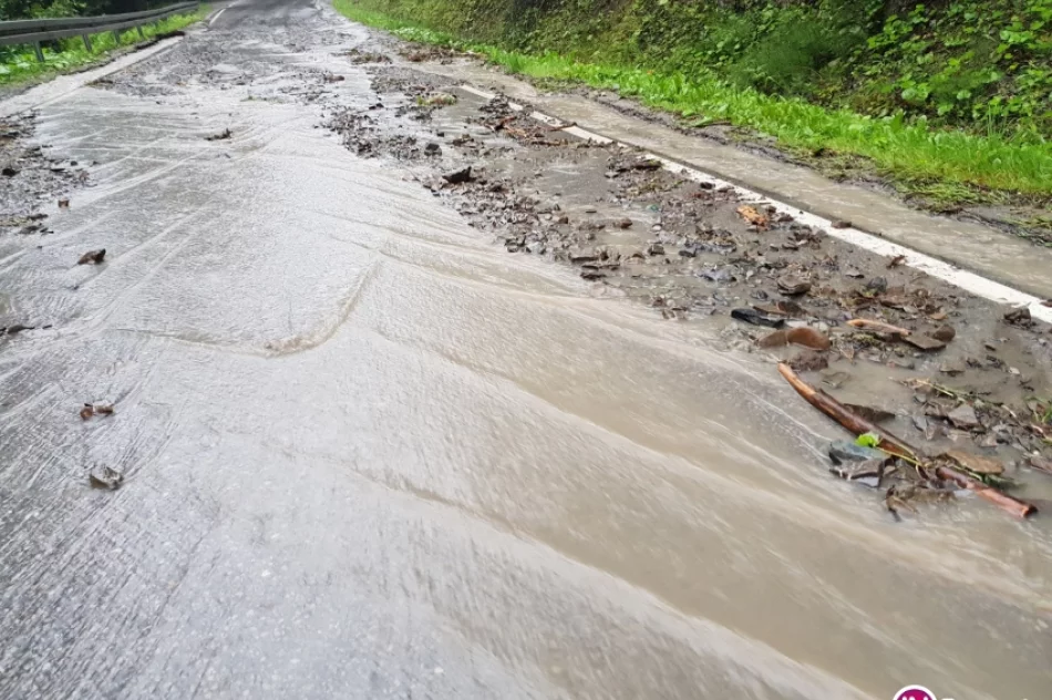 Opady deszczu i podtopienia - 18 lipca 2018 r. - zdjęcie 7