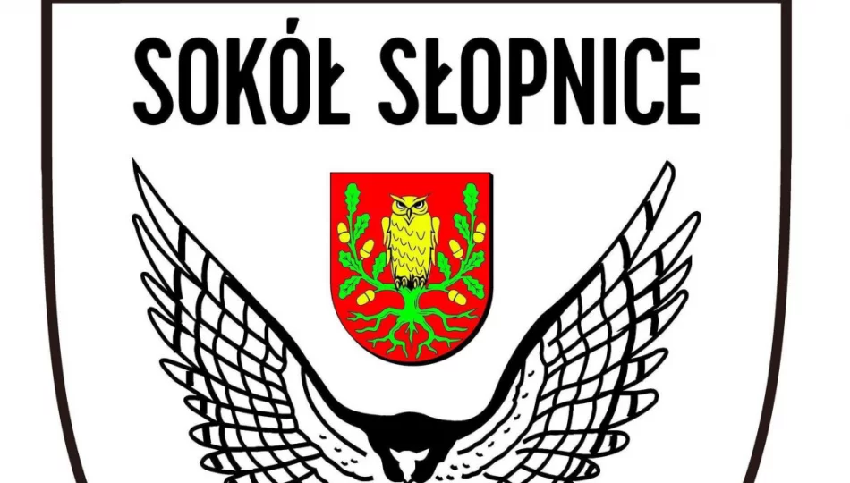 Sokół Słopnice przegrał z Beskidem - zdjęcie 1
