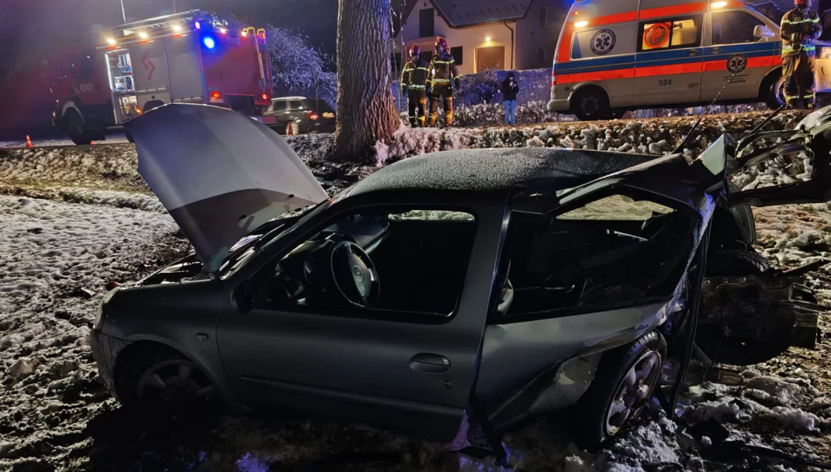 Samochód rozbił się o drzewo w Starej Wsi/fot.: Policja Limanowa