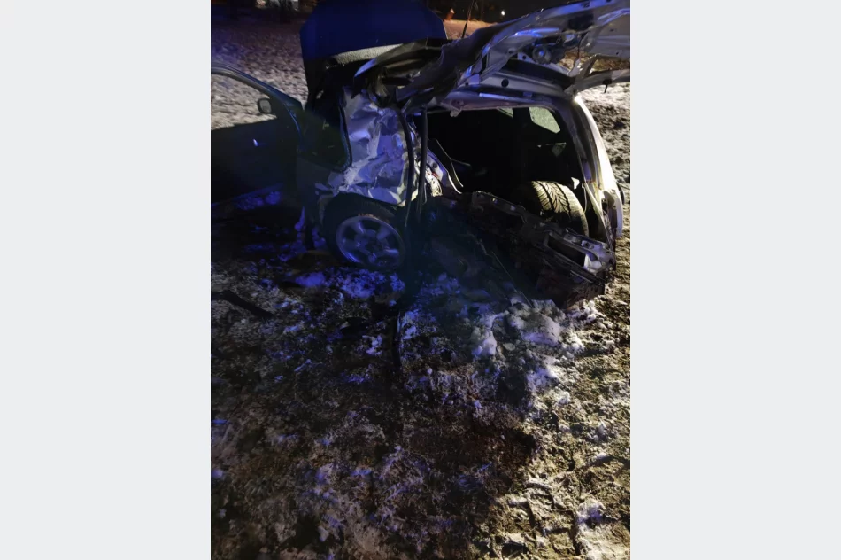 20-letni kierowca rozbił samochód o drzewo - zdjęcie 2