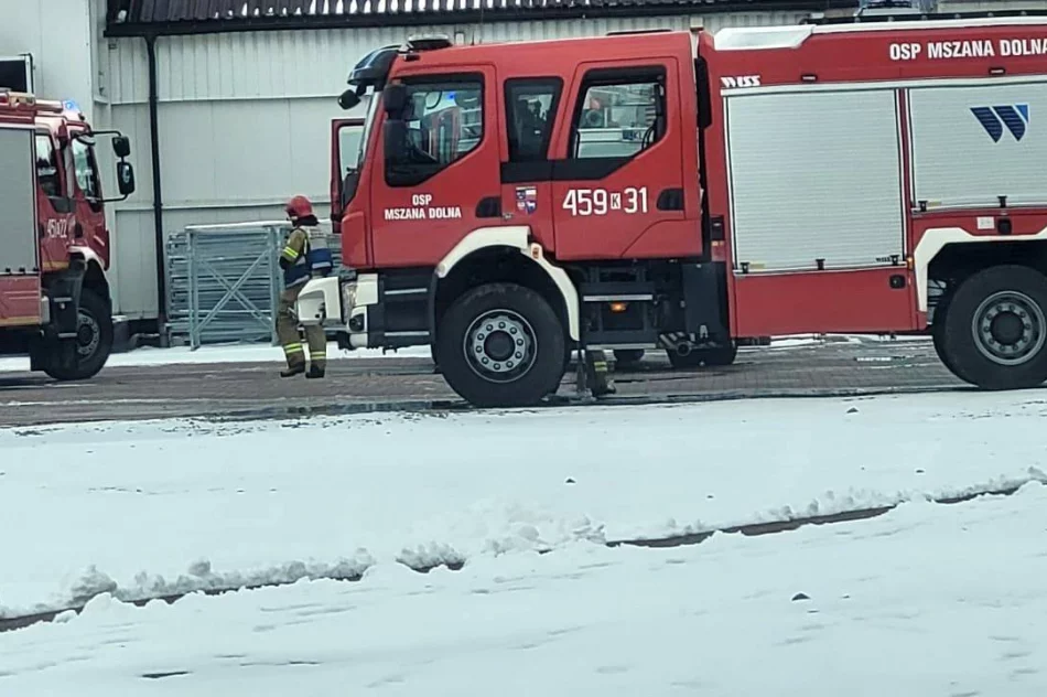 Pożar samochodu dostawczego  - zdjęcie 3