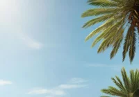 Limanowa - Gran Canaria - wszystko, co musisz wiedzieć o wakacjach na tej wyspie kanaryjskiej - zdjęcie główne