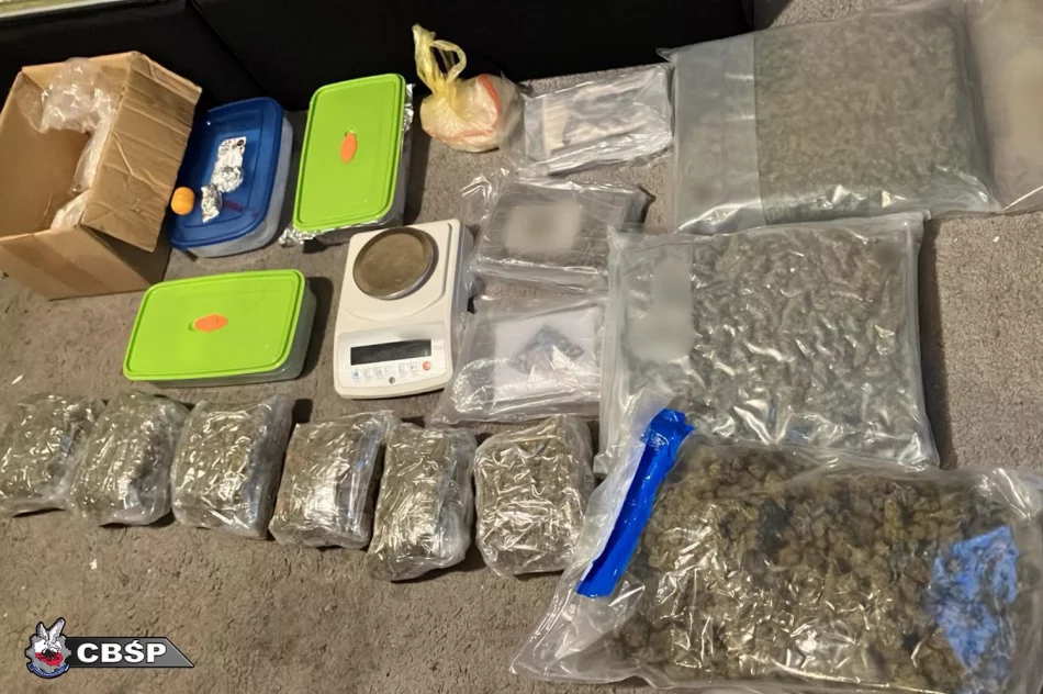 13 osób podejrzanych o przemyt narkotyków wartych 53 mln zł - zdjęcie 6