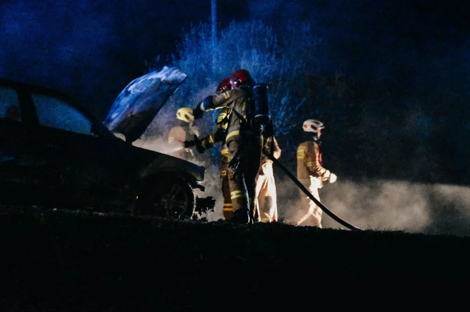 Pożar samochodu na DK28 - nikt nie został ranny - zdjęcie 2