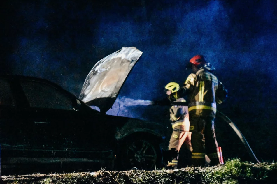 Pożar samochodu na DK28 - nikt nie został ranny - zdjęcie 3
