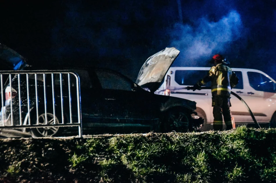 Pożar samochodu na DK28 - nikt nie został ranny - zdjęcie 6