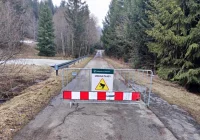 Droga zamknięta. Powód? Wiosenna migracja żab - zdjęcie główne