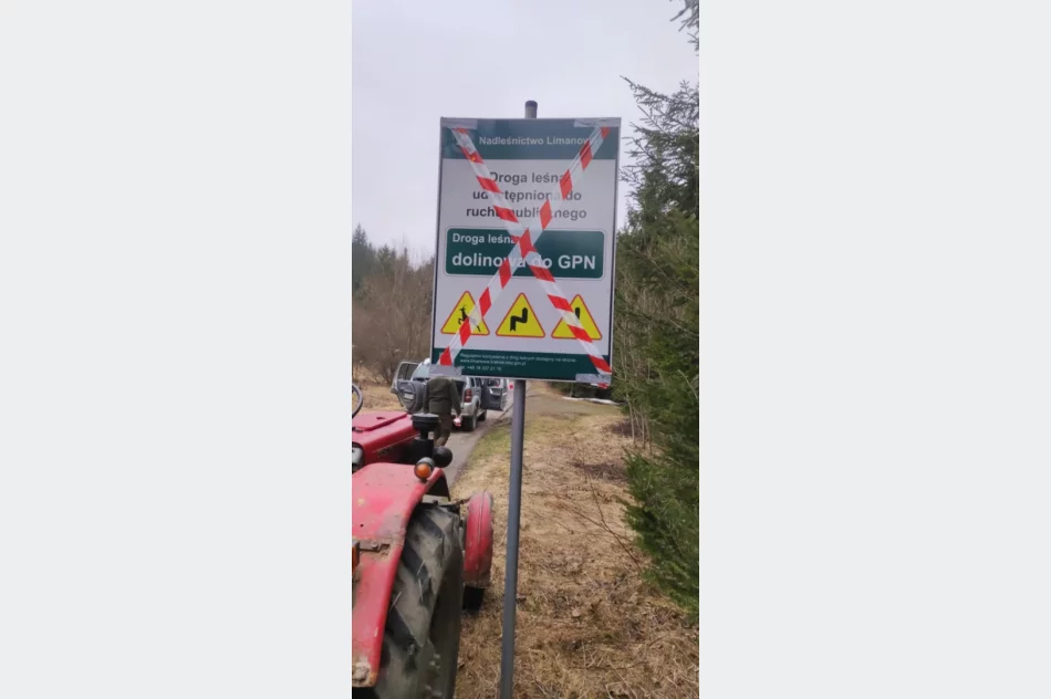 Droga zamknięta. Powód? Wiosenna migracja żab - zdjęcie 2