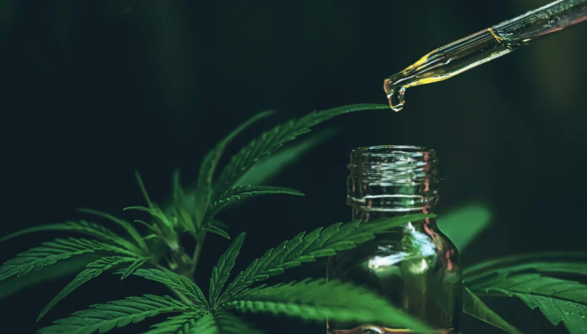 Naturalne metody na wzmocnienie odporności – rola CBD i suplementów