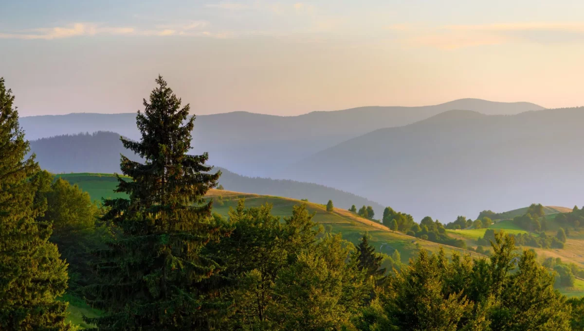 Babie lato to jesienny odpowiednik „zimnych ogrodników”
