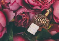 Perfumy francuskie. Czym różnią się na tle innych? - zdjęcie główne