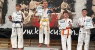 17 medali dla zawodników Limanowskiego Klubu Kyokushin Karate na mini Challenger 2025 w Chrząstowicach - zdjęcie 5
