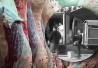 Trzeci podejrzany z zarzutami ws. nielegalnej ubojni - zdjęcie główne