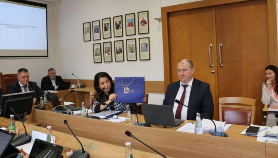 Nowe logo miasta Limanowa. Pytania o konsultacje i koszty - zdjęcie 1