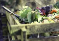 Pieniądze na kompostowniki dla sześciu samorządów - zdjęcie główne