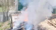 Na osiedlu romskim płonęły elektrośmieci - zdjęcie 2