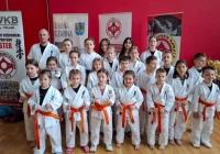 Sukces zawodników z Klubu Karate Kyokushin Stara Wieś na turnieju w Brzostku - zdjęcie główne