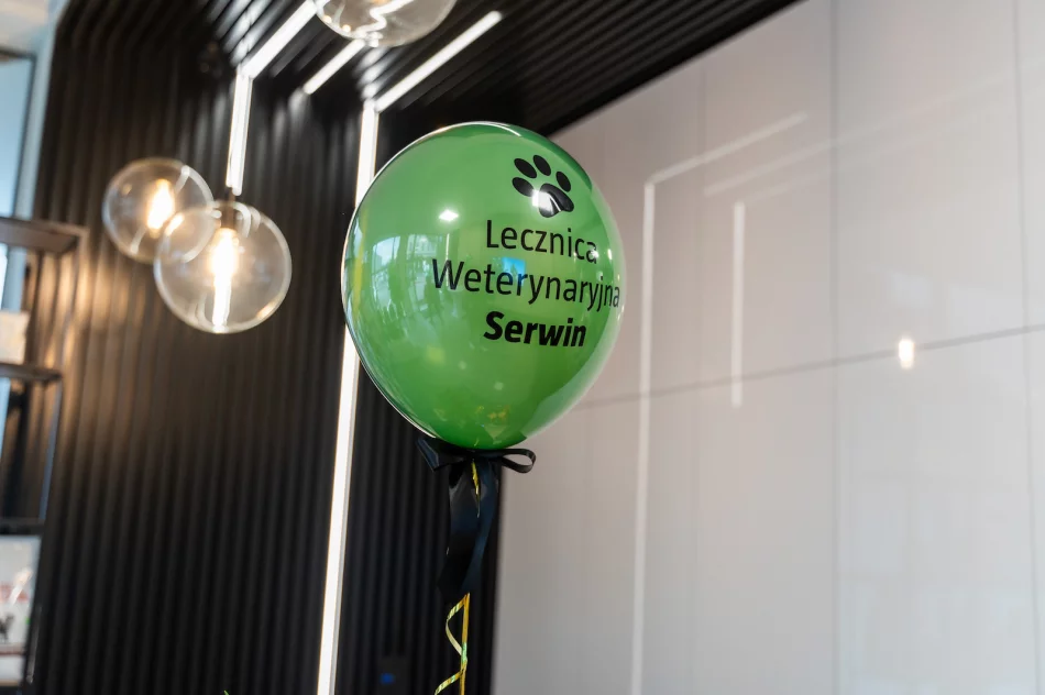 Otwarcie nowej Lecznicy Weterynaryjnej Serwin w Nowym Sączu - zdjęcie 13