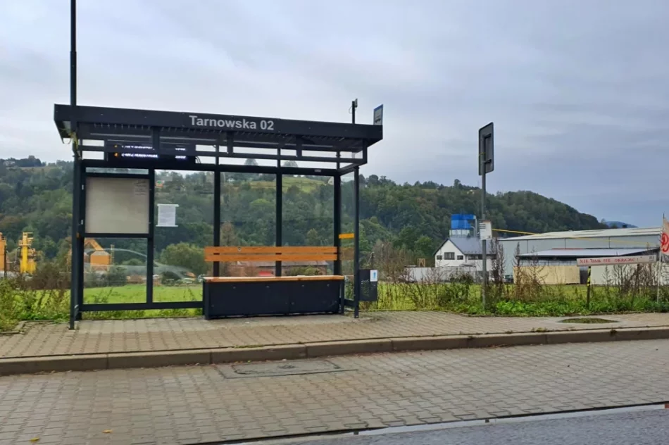 Autobusy będą zatrzymywać się na jezdni. Większe korki na ruchliwej drodze - zdjęcie 2