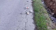 Wójt zapowiada walkę z nielegalnym zaśmiecaniem  - zdjęcie 3