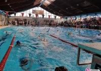 Sukcesy młodych pływaków z „Limanowa-Swim” - zdjęcie główne