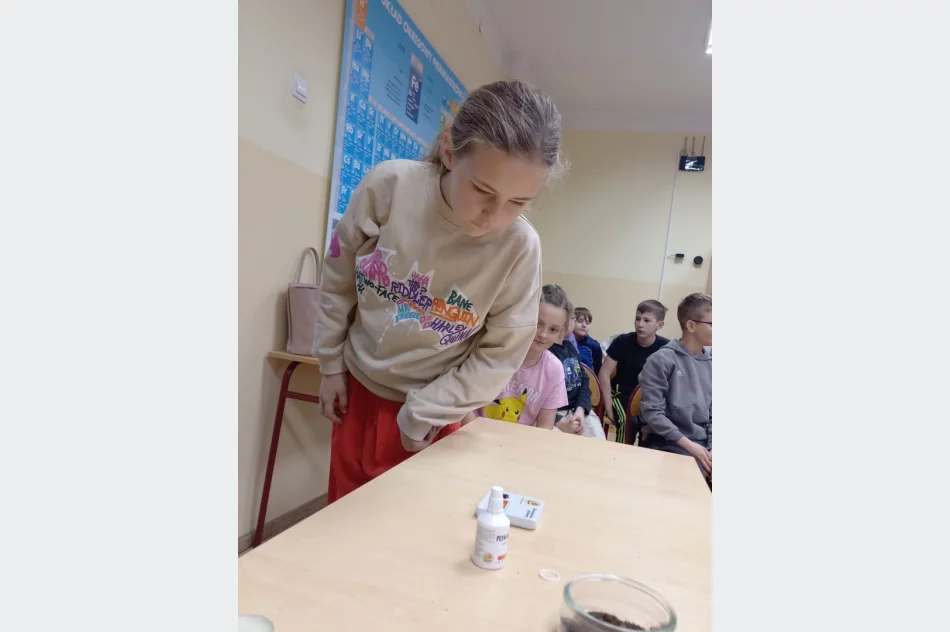FESTIWAL EKOLOGICZNY w Szkole Podstawowej nr 2 w Limanowej - zdjęcie 9