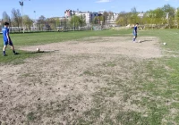  Limanovia ostro o „grze na pastwisku” - zdjęcie główne