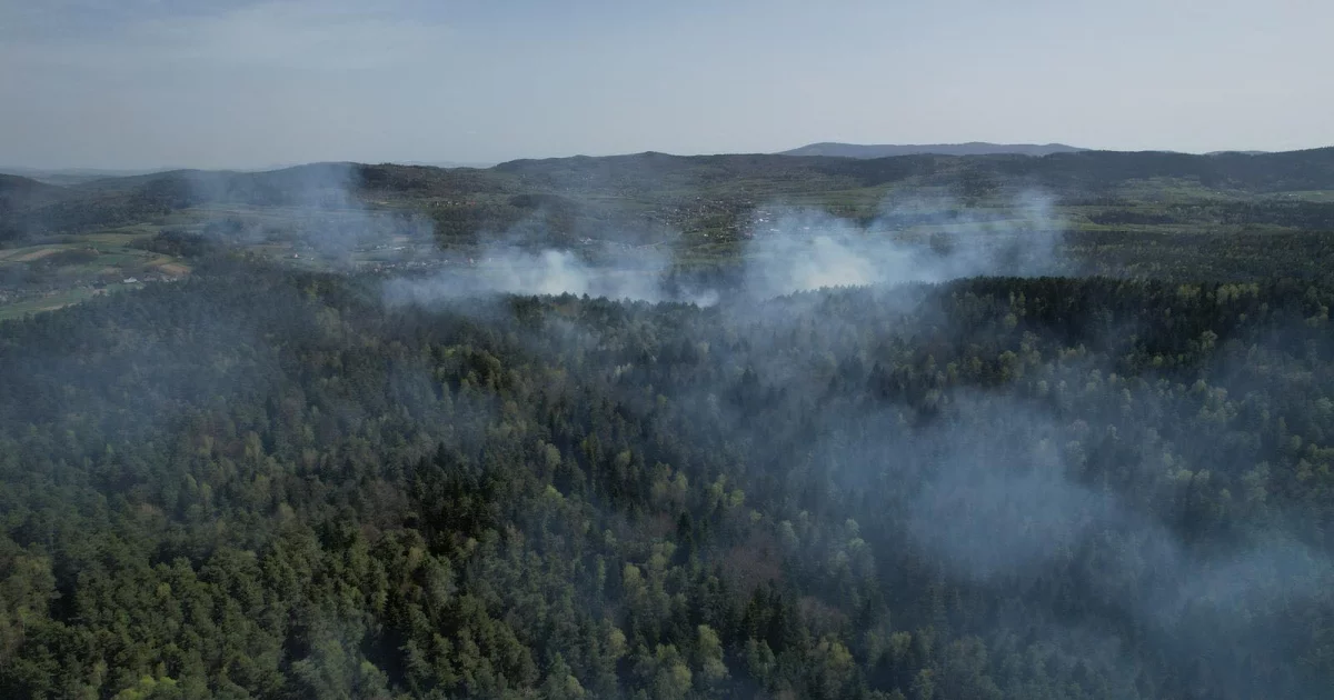 W akcji użyto samolotu gaśniczego. Siły w naszym powiecie postawiono w stan gotowości