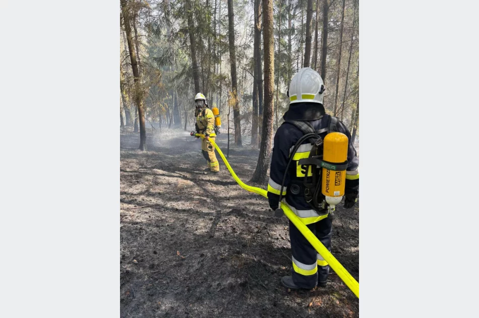 W akcji użyto samolotu gaśniczego. Siły w naszym powiecie postawiono w stan gotowości - zdjęcie 2