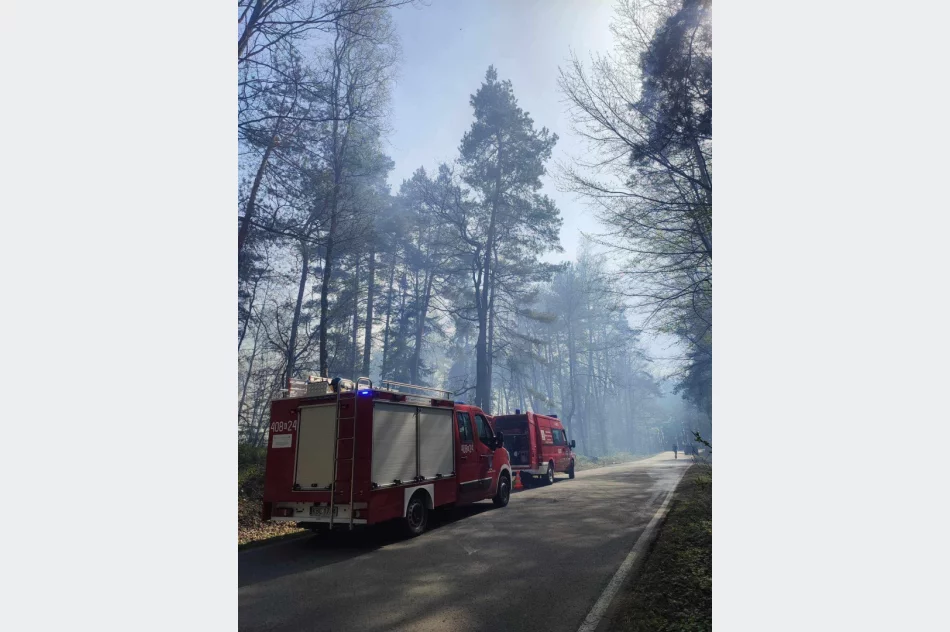 W akcji użyto samolotu gaśniczego. Siły w naszym powiecie postawiono w stan gotowości - zdjęcie 9