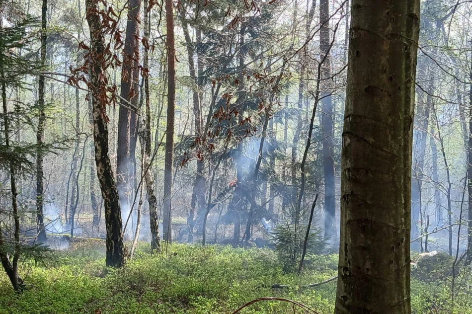 W akcji użyto samolotu gaśniczego. Siły w naszym powiecie postawiono w stan gotowości - zdjęcie 11